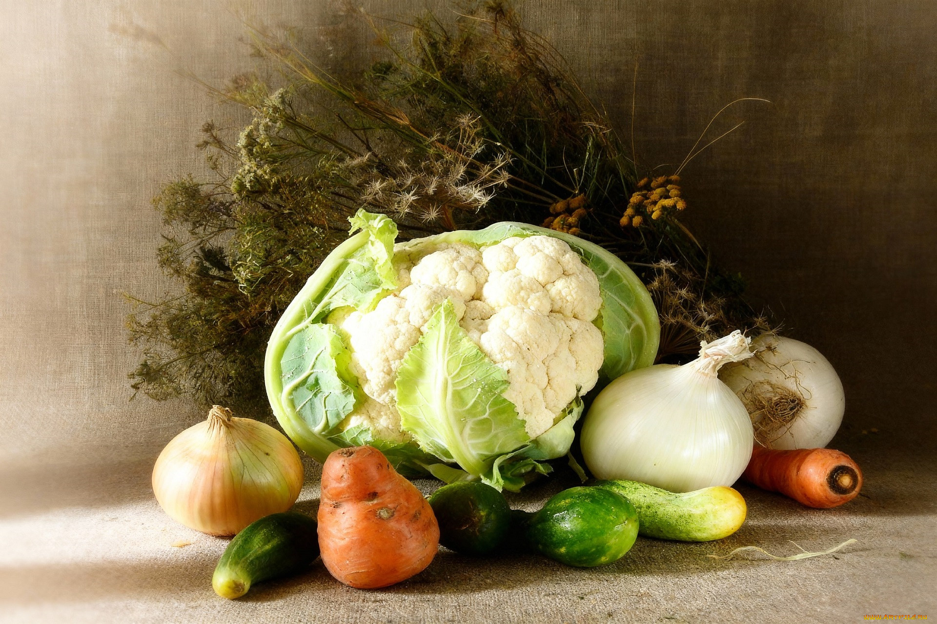 ���, ���������